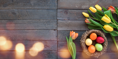 Colorful easter eggs in a nest on gray vintage boards with fresh tulips and golden bokehの写真素材