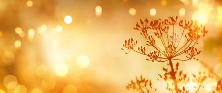 Abstract autumn landscape with golden bokeh for a backgroundの写真素材