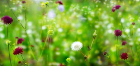Colorful flower meadow and pollen - natural trigger for allergies