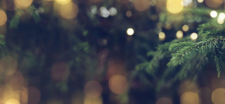 Natural christmas background with fir tree und festive golden bokeh