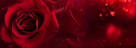 Dark red roses background with luminous bokeh and abstrakt hearts. Love concept for valentines day and wedding. Space for text and design.の写真素材