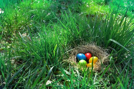 Meadow with a easter nest. Colorful easter eggs in spring. Background for a easter concept with space for text. Top view.の写真素材