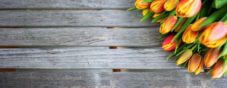 Fresh colorful tulips in spring on old rustic gray wooden planks. Spring bouquet with short deep of focus and space for text. Horizontal close-up.の写真素材