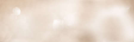 Background for festive christmas cheers. Elegant bright bokeh on tender horizontal banner for christmas and wedding with space for text.の写真素材