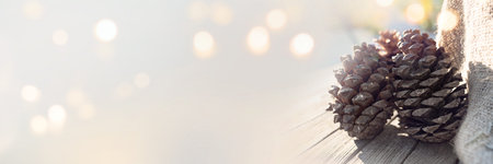 Pine cones at christmas time on abstract sunny bokeh background. Horizontal concept for seasonal...