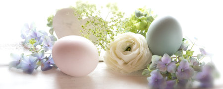 Easter still life with pastel colored eggs and tender blossom on a white table. Background with...