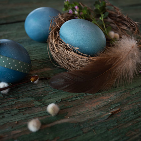 Happy easter background. Decoration with blue easter eggs in a nest with a feather on green weathered wood and short depth of field.の写真素材