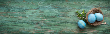 Horizontal easter spring background. Blue easter eggs in a nest on green weathered wood. Decoration...