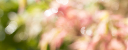 Horizontal blurred colorful nature background. Abstract landscape with bokeh and space for text.