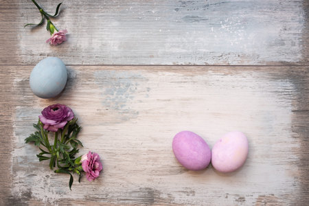 Happy easter greetings with violet easter eggs and purple ranunculus on vintage wood. Background for...