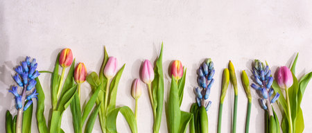 Arrangement with colorful spring flowers on tender pink background. Top view, flat lay. Seasonal gardening concept for mother's day greetings with space for text.の写真素材