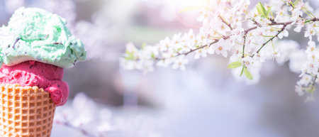 Italy ice cream in a waffle with cherry blossoms in background. Spring scene with short depth of field and space for text. Close up.の写真素材