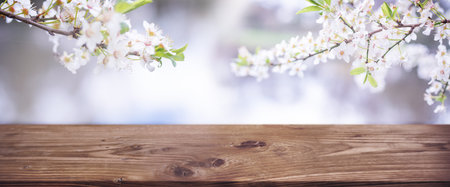 Empty wooden counter for product presentation with cherry blossoms. Horizontal spring background for seasonal decorations and space for text.の写真素材
