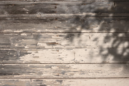 Sepia colored background with plant shadows on weathered wooden wall for a product placement. Summer architecture outside in aesthetic boho design. Top view with space for text.の写真素材