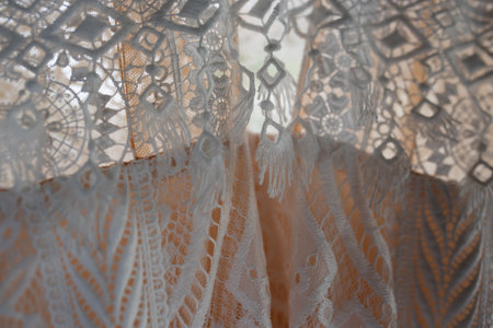 Wedding dress made of lace and silk. Detail shot of an elaborate textile pattern with transparency. Wedding background.の写真素材
