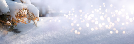 Branches covered with snow on sunny winter day in snowy landscape. Horizontal background panorama for Christmas with bright bokeh lights and space for text.の写真素材