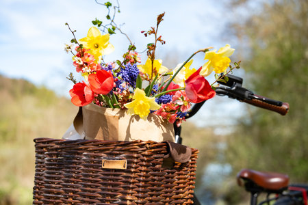 Colorful spring flowers in a bicycle basket. Fresh seasonal flowers in a wicker basket in front of a spring landscape. Shopping at the market by bike. Background for mobility and the environment.の写真素材