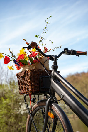 Bicycle tour in spring with flowers in the basket. Seasonal fun on a bike path in the sunlight. Vertical background for a healthy lifestyle.の写真素材