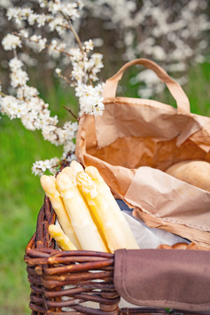 Fresh white asparagus and raw potatoes from the market. Seasonal vegetables and flowers in a bicycle basket. Background for healthy eating and local shopping.の写真素材