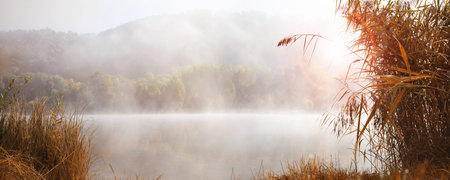 Autumn landscape at morning on a lake with rising mist. Horizontal nature scene on a misty autumn morning.の写真素材