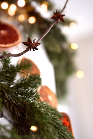 Festive Christmas decoration with star anise, dried fruits and golden bokeh lights. Festive decoration for Christmas greeting cards and banners. Vertical background with shallow depth of field.の写真素材