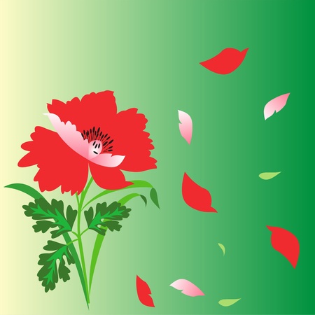 Flowers on a green poppy background, poppy petals floating, floral greeting cardのイラスト素材