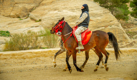 Bedouins offering their services to tourists in Petra Jordan before the pandemic February 18, 2020のeditorial素材