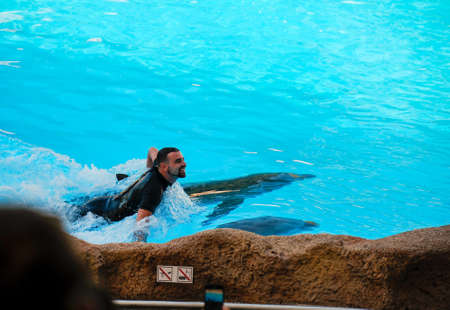 Dolphin show in Loro Park Tenerife Spain on 27 December 2019 the largest zoo in Europeのeditorial素材