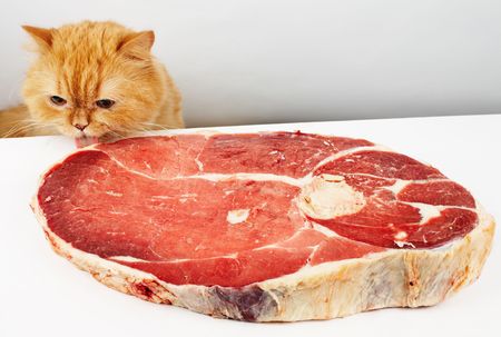 Cat reach the meat and go to feastの写真素材