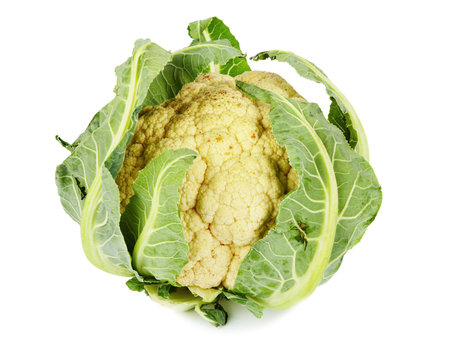 Cauliflower isolated on white backgroundの写真素材