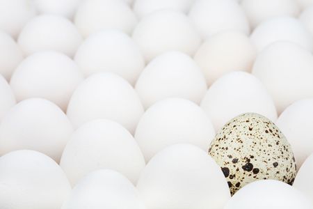 Unusual egg among ordinary anotherの写真素材