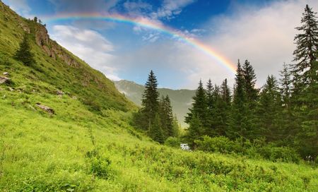 Landscape with forest and rainbowの写真素材