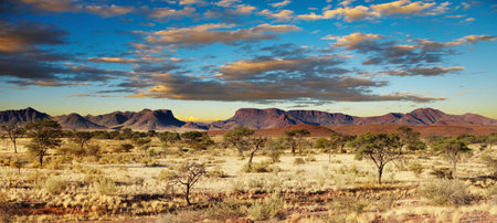 African landscape, Kalahari Desert, Namibiaの写真素材