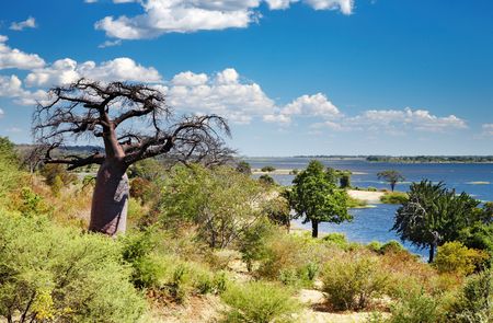 African landscape, Chobe river, Botswanaの写真素材