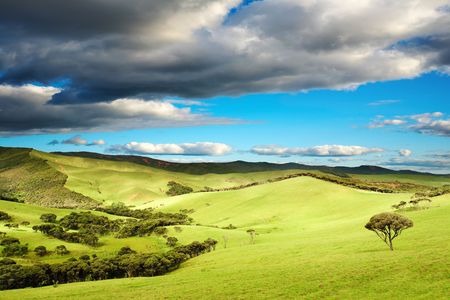 Beautiful landscape at sunset, New Zealandの写真素材