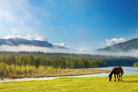 Mountain landscape with river and grazing horseの写真素材