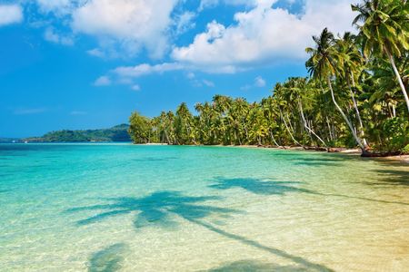 Coconut palms on the beach, Kood island, Thailandの写真素材