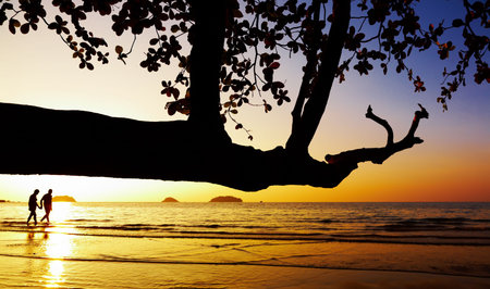 Couple walking on beach at sunset, Chang Island, Thailandの写真素材