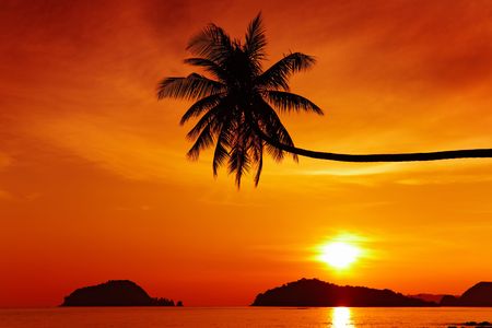 Tropical beach at sunset, Mak island, Thailand
の写真素材