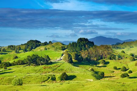 Landscape with green hills and blue sky, New Zealandの写真素材