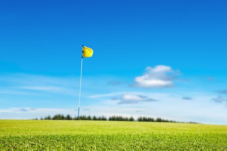 Golf field, focus on the grass, shallow depth of fieldの写真素材