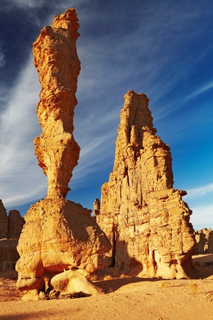 Stone forest, amazing sandstone cliffs in Sahara Desert, Tassili N'Ajjer, Algeria
の写真素材