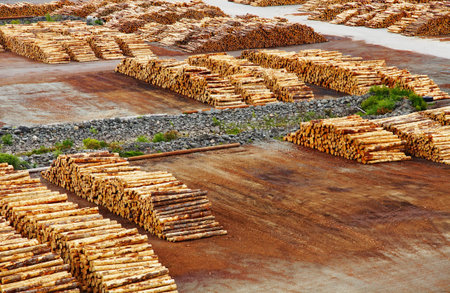 Timber export terminal, New Zealand