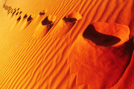 Footprints on sand dune, Sahara Desert, Algeriaの写真素材
