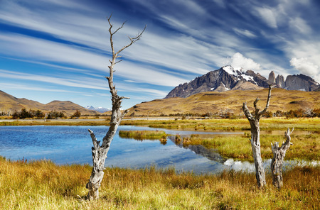 Torres del Paine National Park, Patagonia, Chileの写真素材