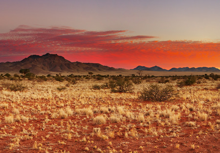 Colorful sunset in Kalahari Desert, Namibiaの写真素材