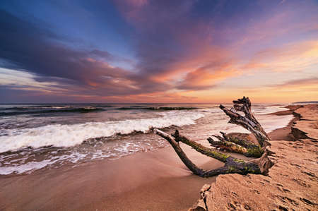Colorful sunset on the Black Sea, Kamchia beach, Bulgariaの写真素材