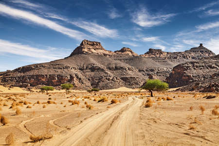 Road in Sahara Desert, Algeriaの写真素材