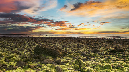beauty mossy stone at Kuala Penyu beach on sunsetの写真素材