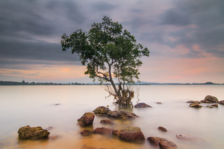 Tanjung Uma beach, Batam, Indonesia on calm sunsetの写真素材